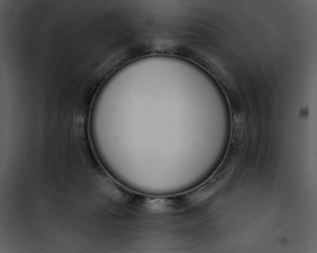 X0000101230269200807181609