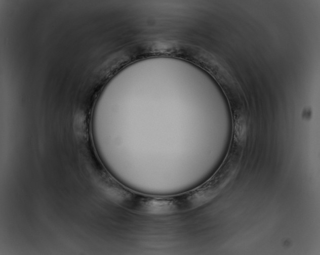 X0000101230270200807181609