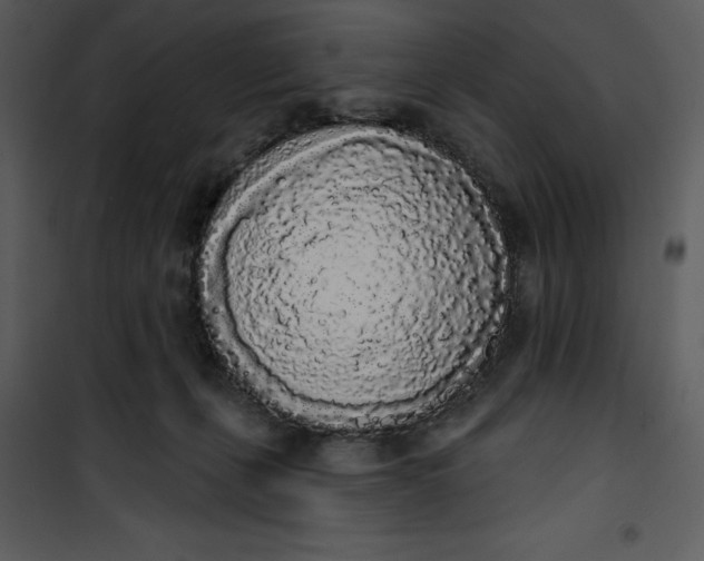 X0000101230271200807181609