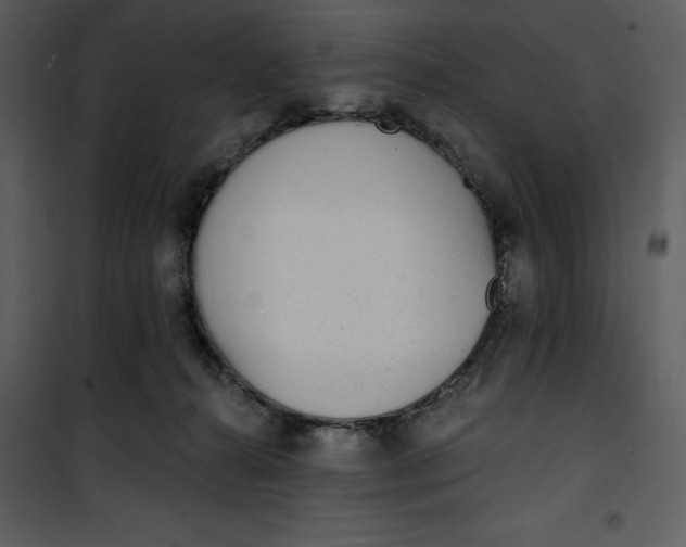 X0000101230272200807181610