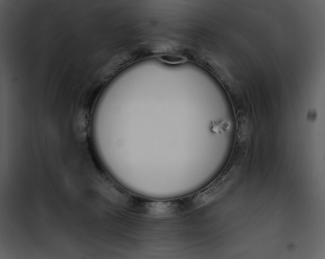 X0000101230273200807181610