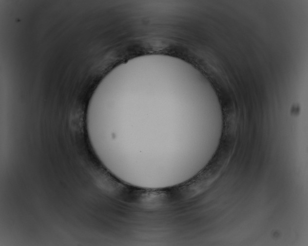 X0000101230274200807181610