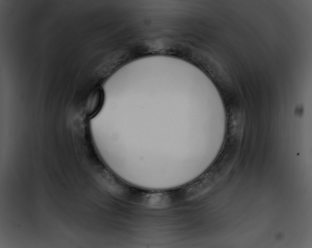 X0000101230275200807181610