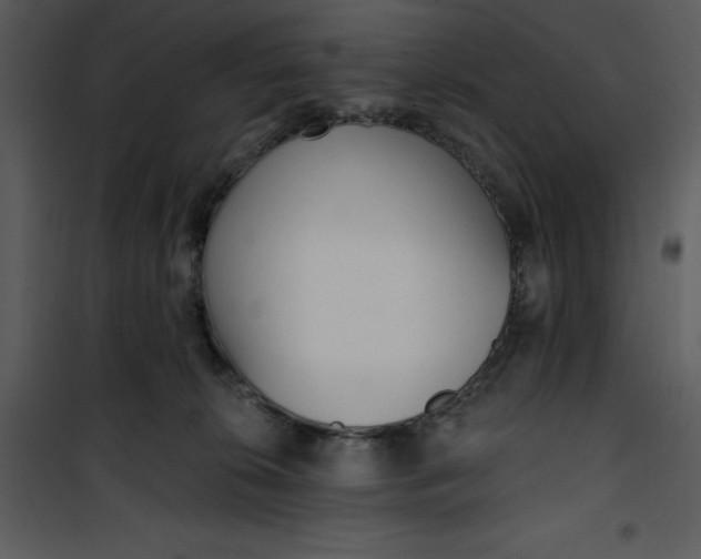 X0000101230276200807181610