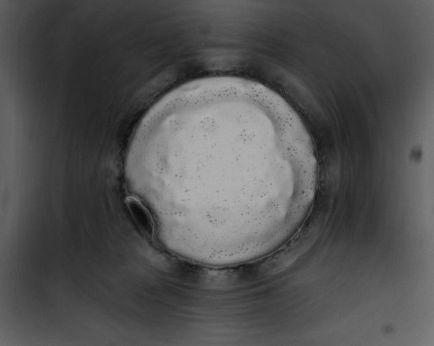 X0000101230277200807181610