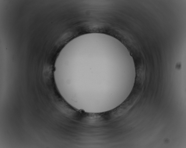 X0000101230278200807181610