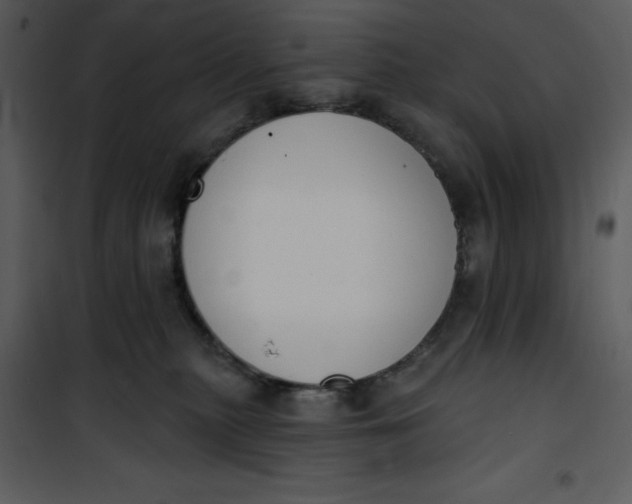 X0000101230279200807181610