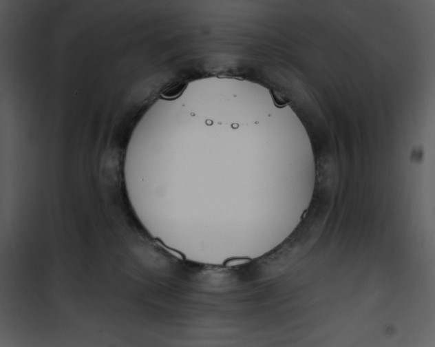 X0000101230280200807181610