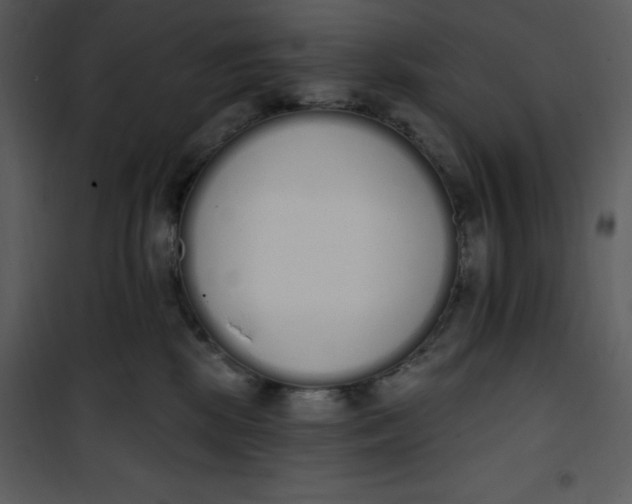 X0000101230281200807181610