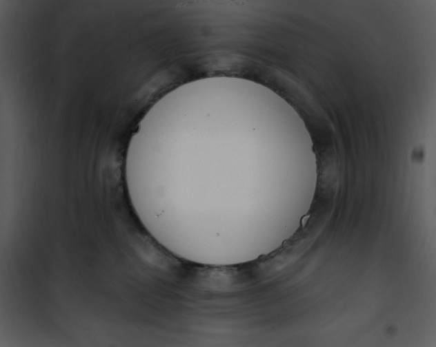 X0000101230282200807181610