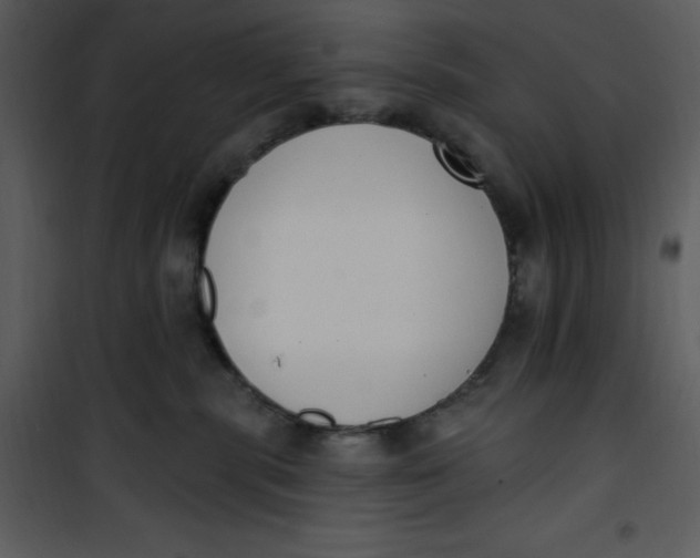 X0000101230283200807181610