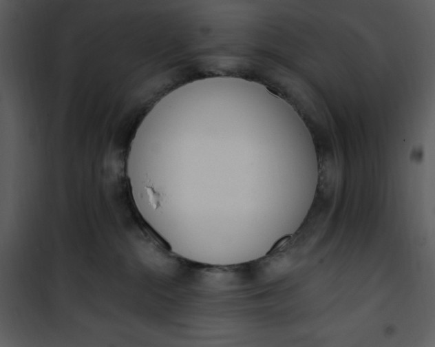 X0000101230284200807181610