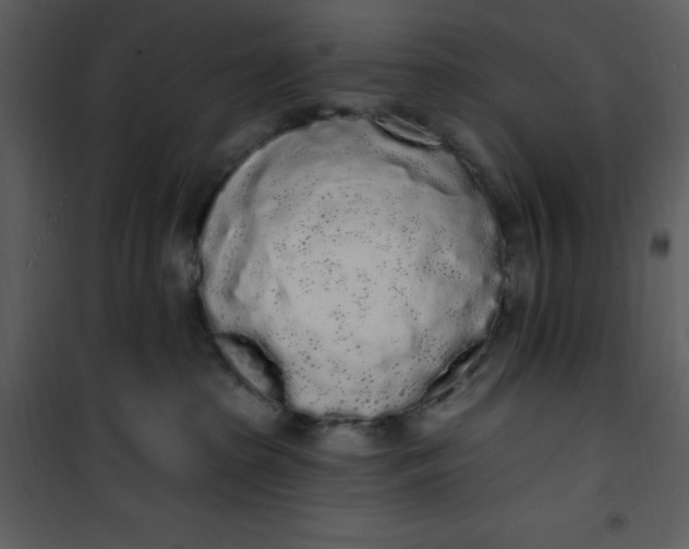 X0000101230285200807181610