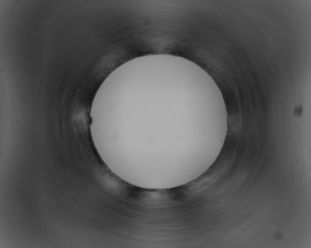 X0000101230286200807181610