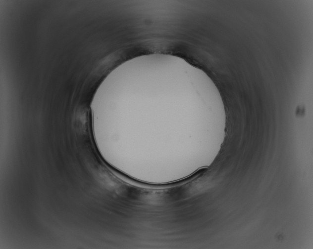 X0000101230288200807181610