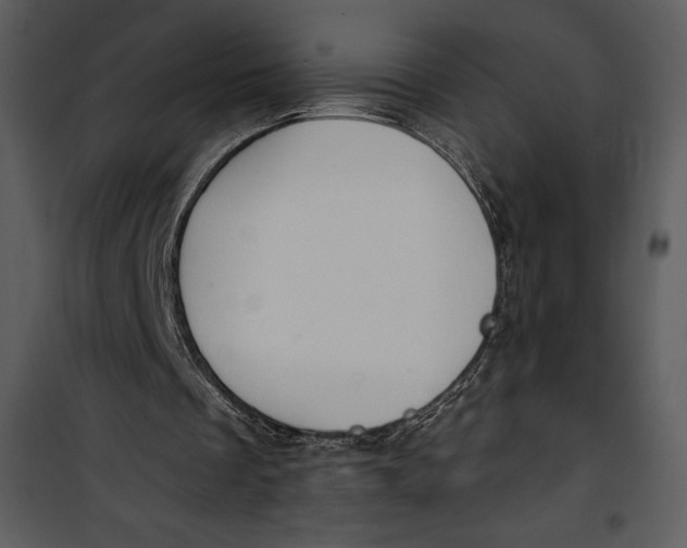 X0000101230289200807181609