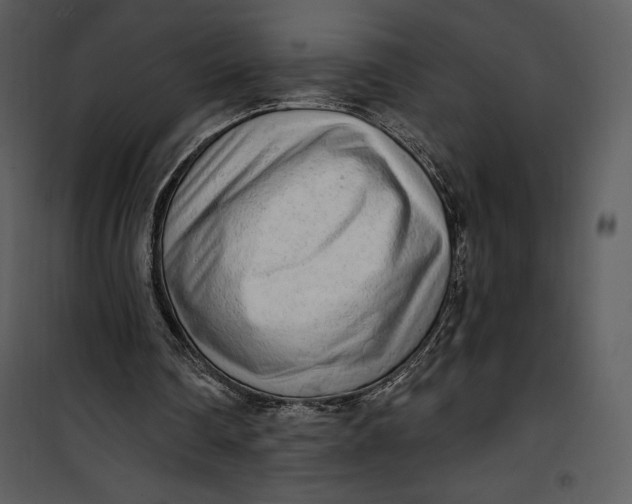 X0000101230290200807181609