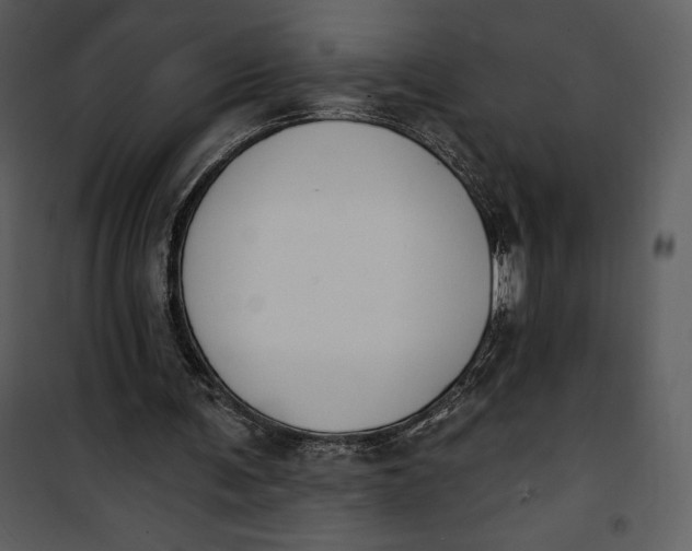 X0000101230291200807181609