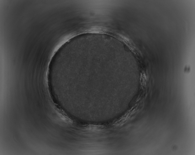 X0000101230292200807181609