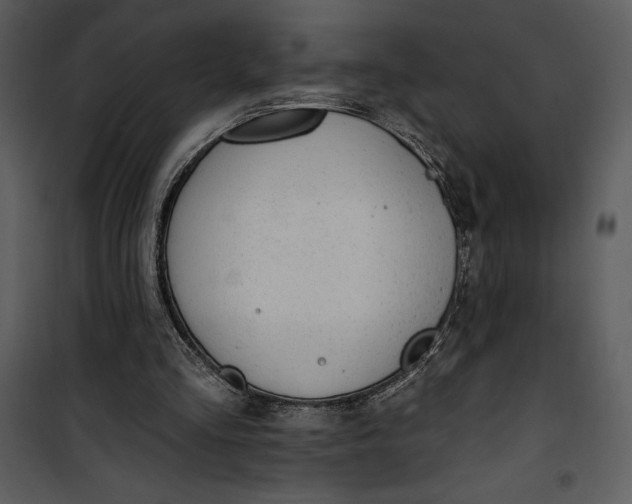 X0000101230293200807181609