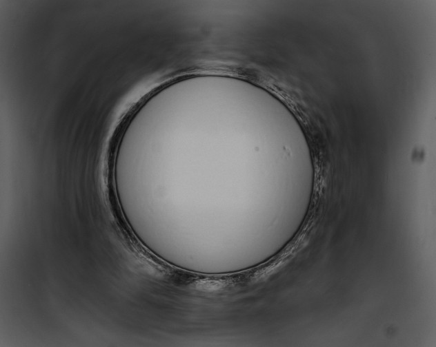 X0000101230294200807181609