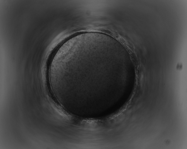 X0000101230295200807181609