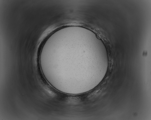 X0000101230296200807181609