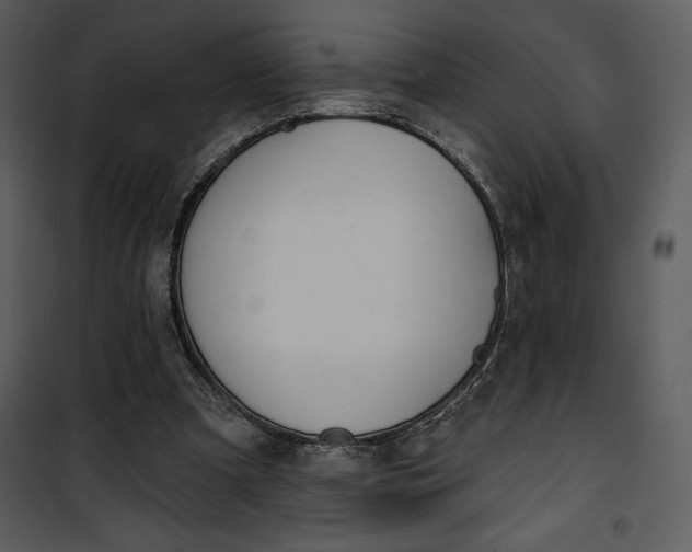 X0000101230297200807181609