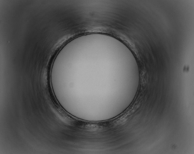 X0000101230298200807181609