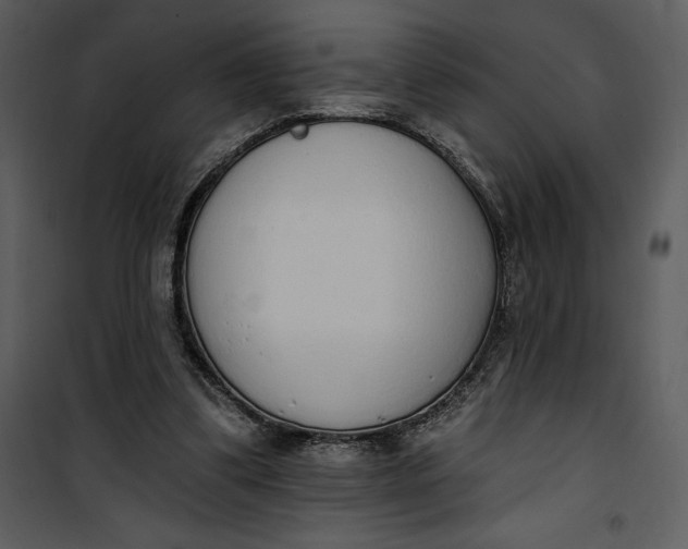 X0000101230299200807181609