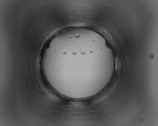 X0000101230300200807181609