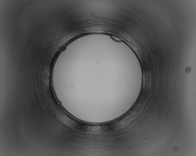 X0000101230301200807181609