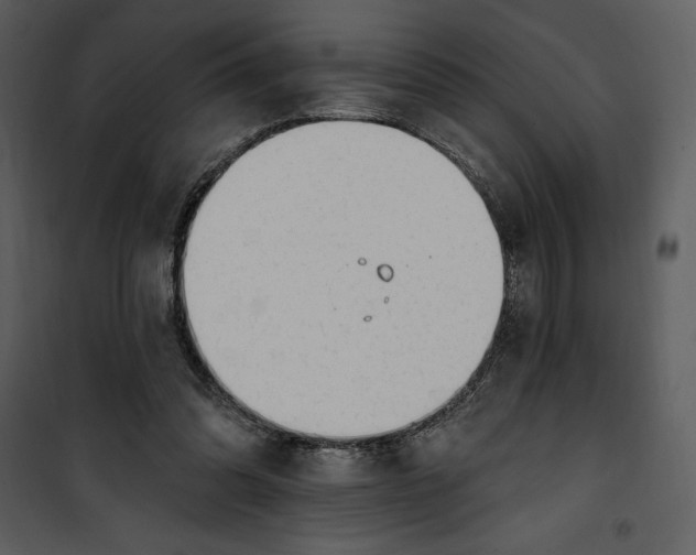 X0000101230302200807181609