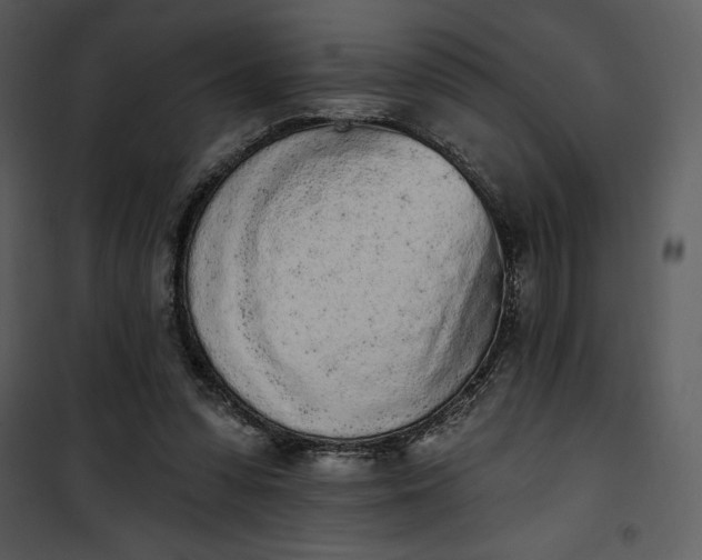 X0000101230303200807181609