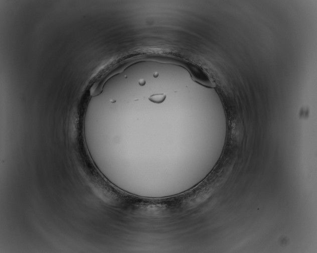 X0000101230304200807181609