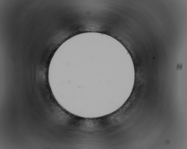 X0000101230305200807181609