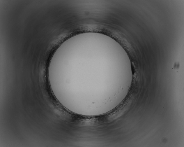 X0000101230306200807181609