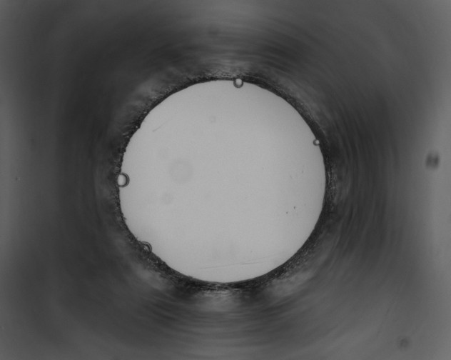 X0000101230307200807181609