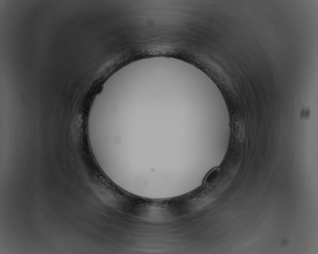 X0000101230308200807181609