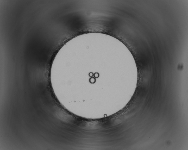 X0000101230309200807181609