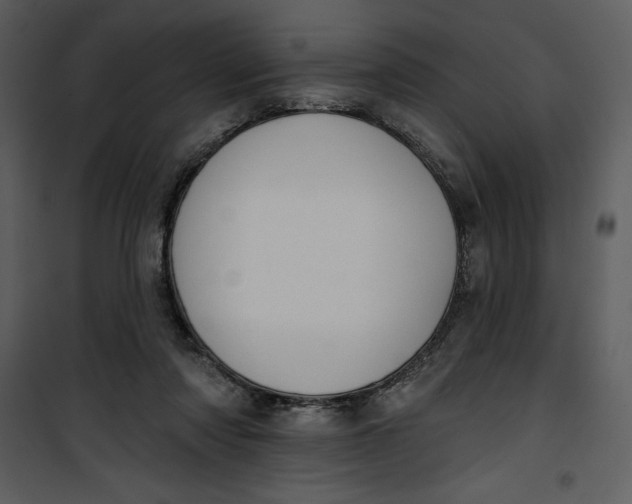 X0000101230310200807181609