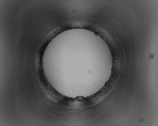 X0000101230312200807181609