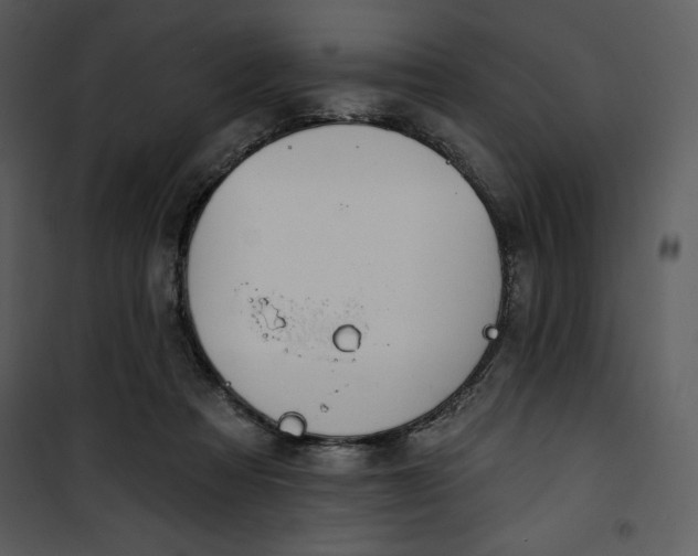 X0000101230313200807181609