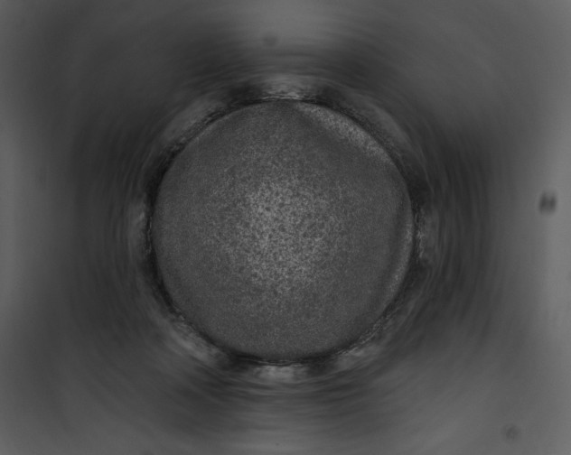 X0000101230314200807181609