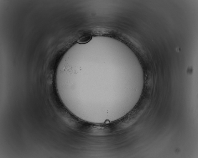 X0000101230315200807181609