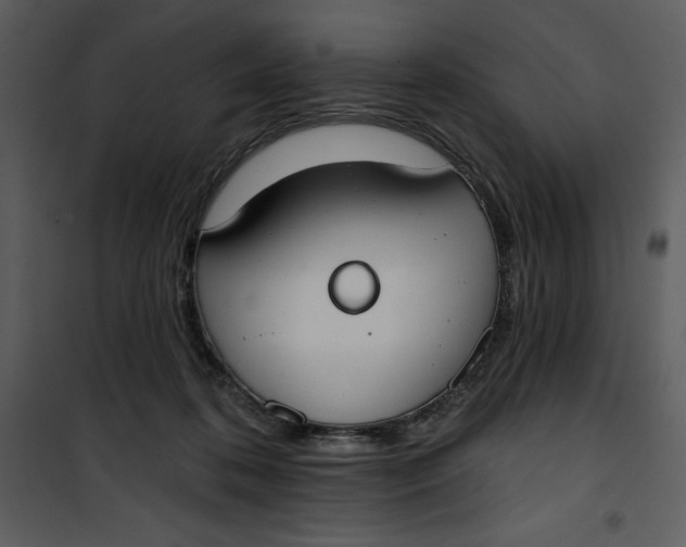 X0000101230316200807181609