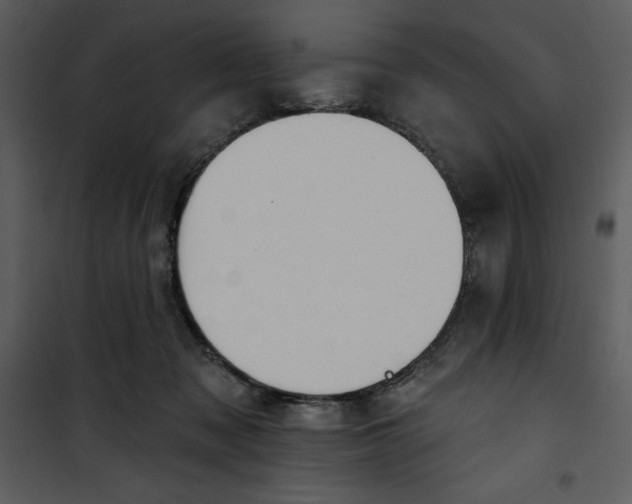 X0000101230317200807181609