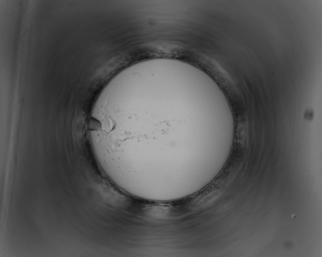 X0000101230318200807181609