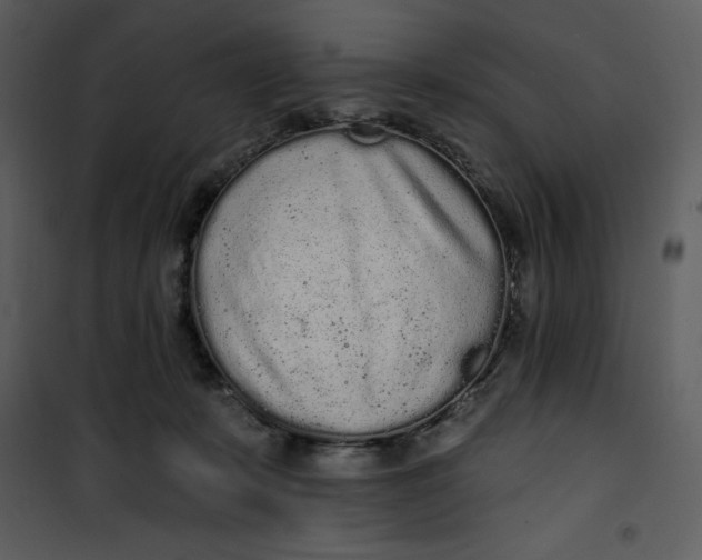 X0000101230319200807181609