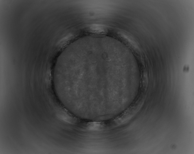 X0000101230320200807181609